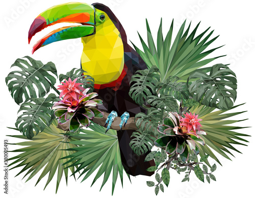 Vector Polygonal illustration of toucan bird.