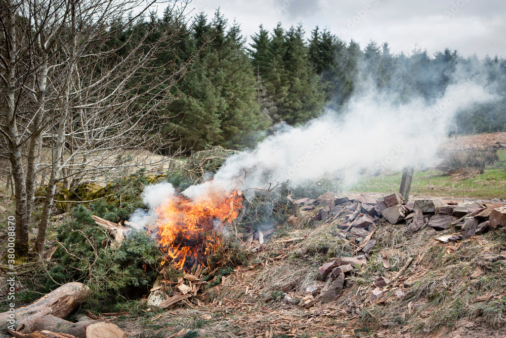 Woodland Fire Woodland Fire