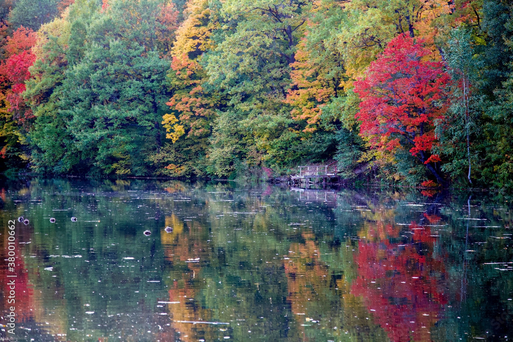 Scenic evening autumn landscape of colorful trees by the lake Scenic evening autumn landscape of colorful trees by the lake