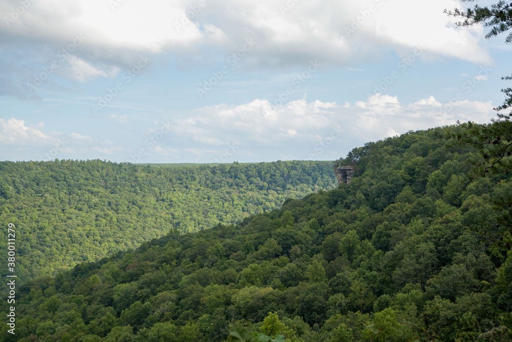 scenic view over Tennessee forest