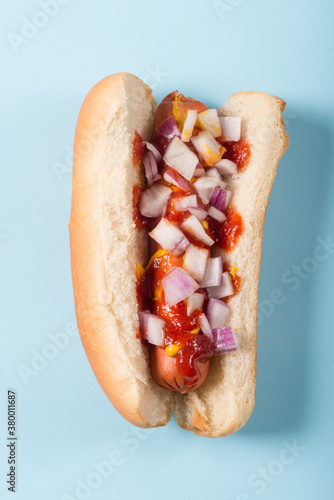 Loaded Hot Dog on Blue Backgound