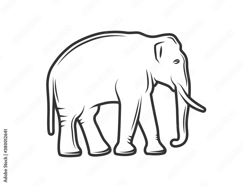 Silhouette of an elephant isolated on white background