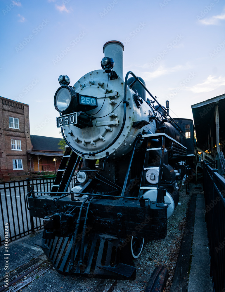 Fototapeta premium Train