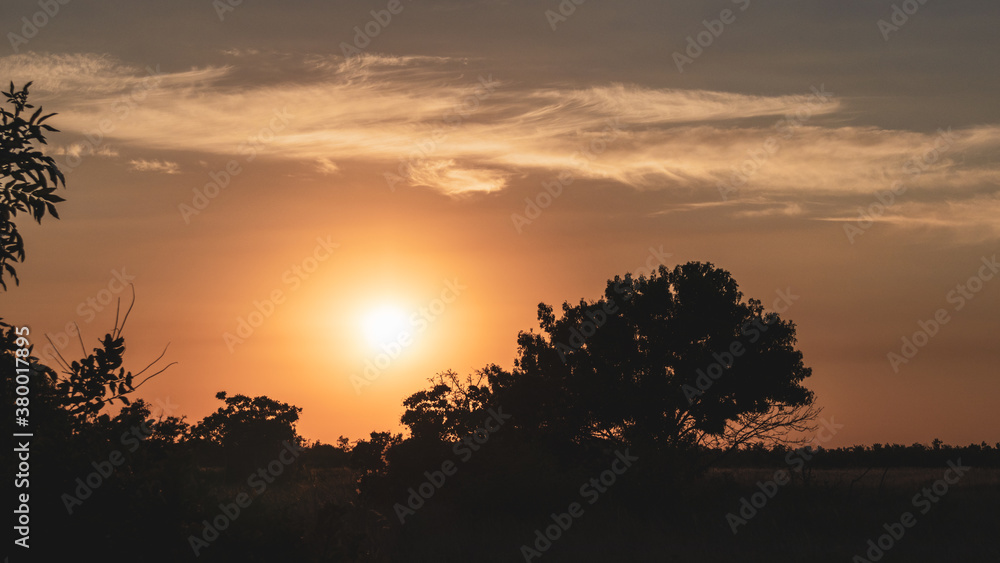 Sunset in wild nature dark trees silhouettes and vivid orange cloudy scenic sky in warm autumn colors
