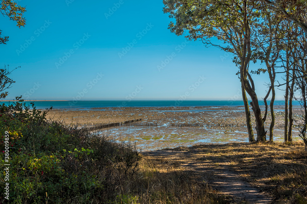 A view from the coastal path out to sea on the East Mersea flats, UK in the summertime