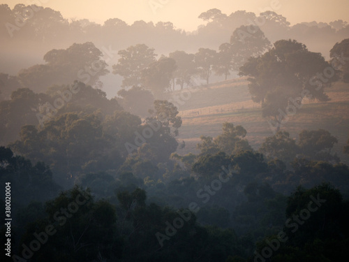 Wallpaper Mural Morning Fog an Australian Farm Torontodigital.ca