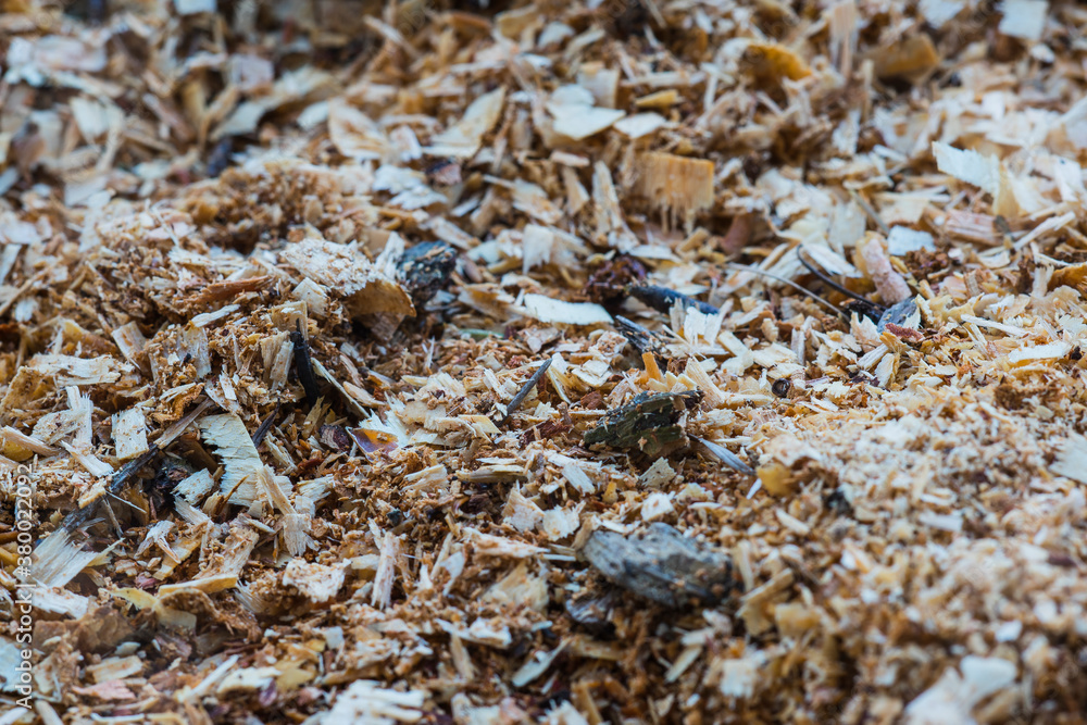A pile pf wood chips A pile pf wood chips