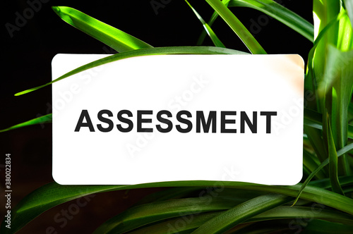 Assessment text on white surrounded by green leaves