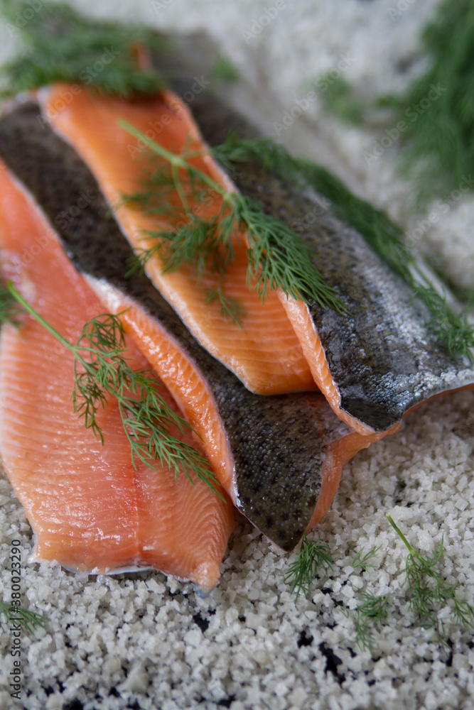 Salmon trout fillets on corase salt with dill Salmon trout fillets on corase salt with dill