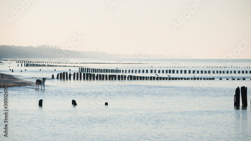 Morze Bałtyckie  © Jarosław