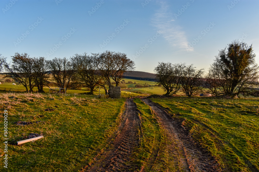 Fototapeta premium Green Irish Countryside on Sunny day