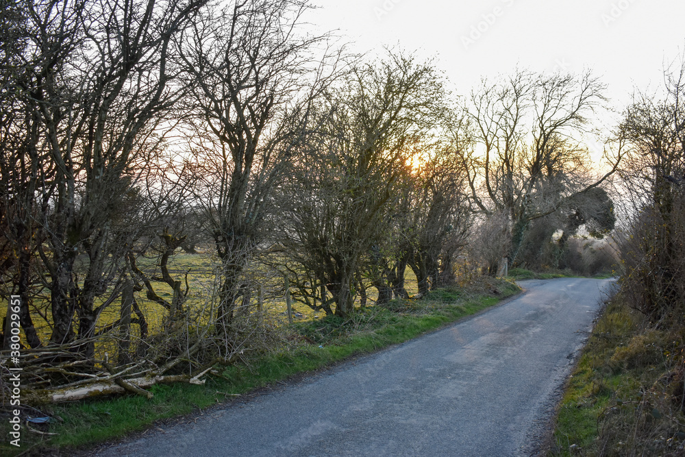 Fototapeta premium Beautiful Sunset Over Rural Irish Landscape