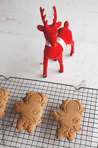 a red Christmas reindeer looks over baked gingerbread deer photo