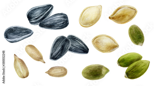 Photo Sunflower seeds and pumpkin seeds set watercolor illustration isolated on white