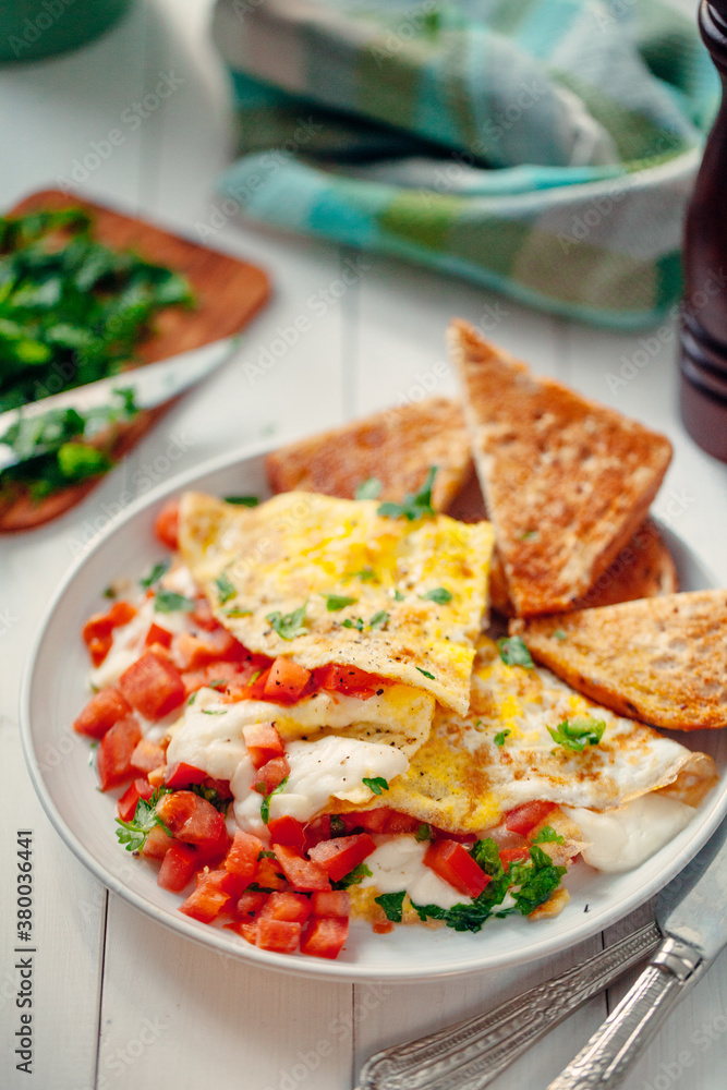 Omelette with fresh tomatoes and cheese Omelette with fresh tomatoes and cheese
