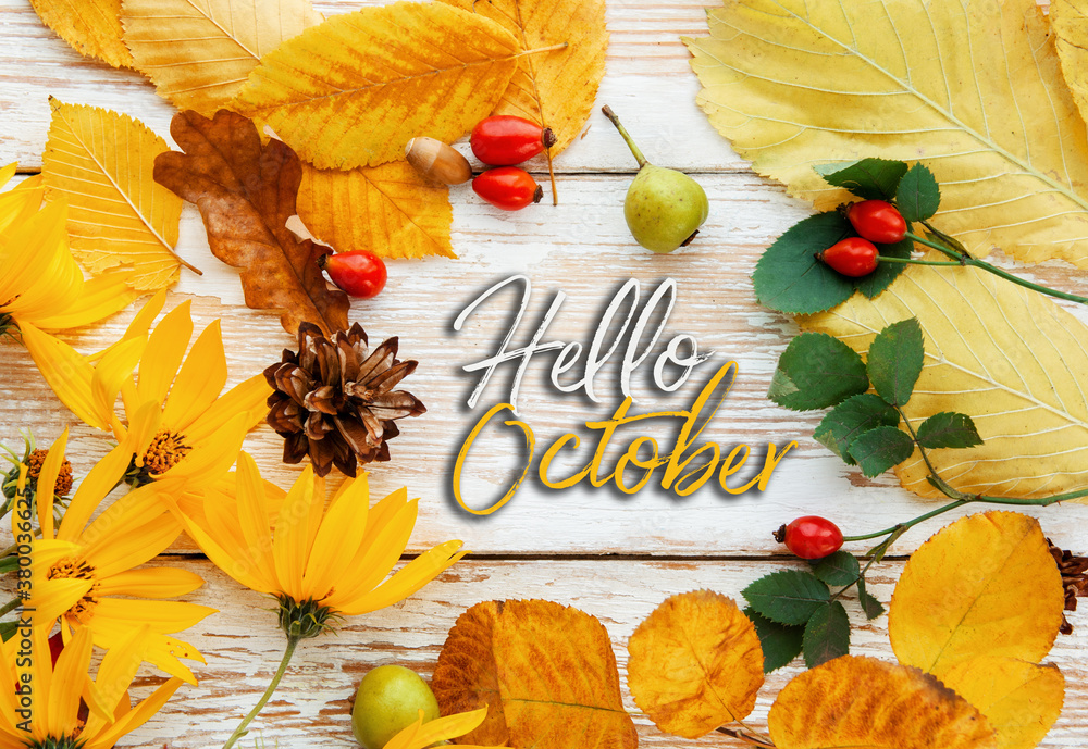 Hello october frame of autumn decor Poster card with sunlight filter and toned grunge image - obrazy, fototapety, plakaty 