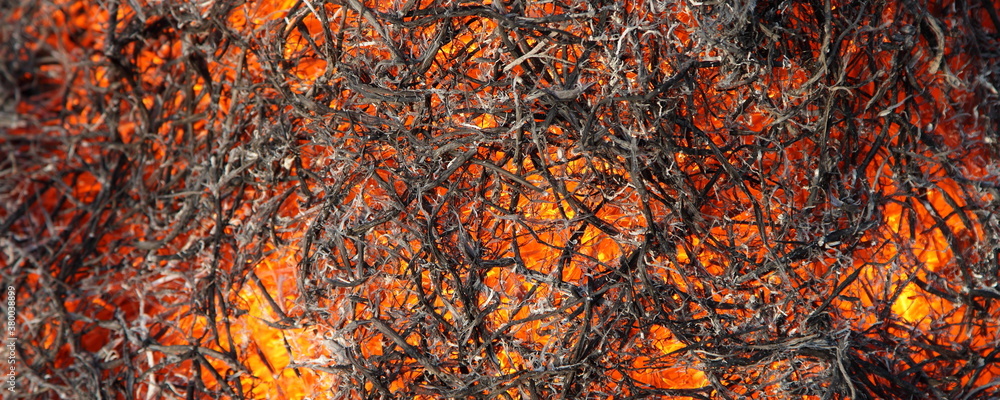 Φωτογραφία Abstract orange background, smoldering fibers close up, orange glowing shines th