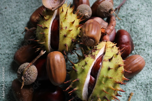 Tableau sur toile Autumnal
seeds