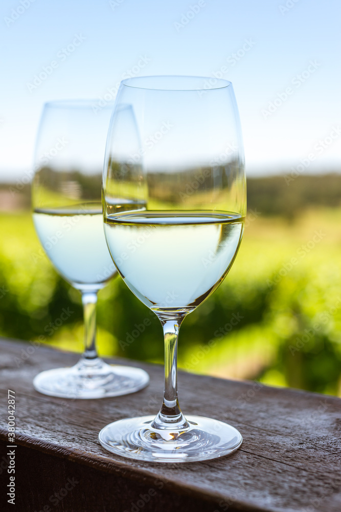 wine glasses on a railing by a vineyard, with sky reflected wine glasses on a railing by a vineyard, with sky reflected