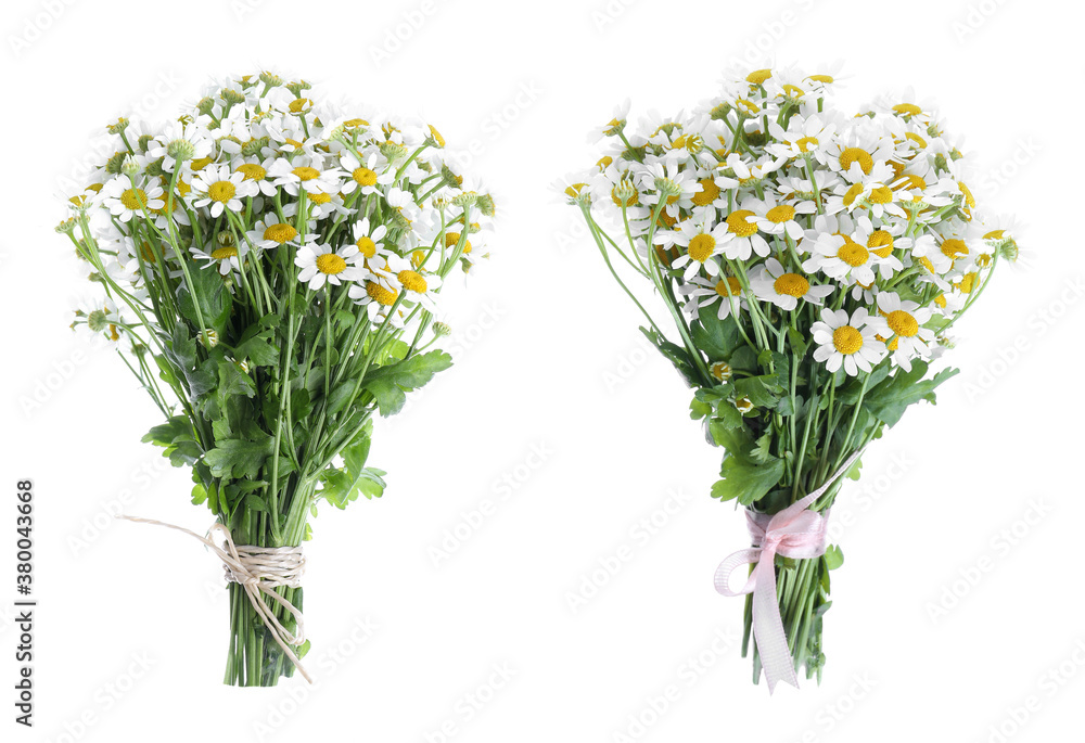 Beautiful bouquets of chamomile flowers on white background Beautiful bouquets of chamomile flowers on white background