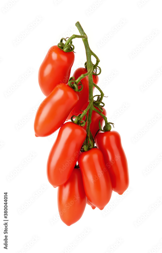 Hanging bunch of red ripe San Marzano tomatoes isolated on white background. Small oval elongated tomatoes on a green branch. Vegetables, vegetarian and healthy eating. Raw food diet ingredient.