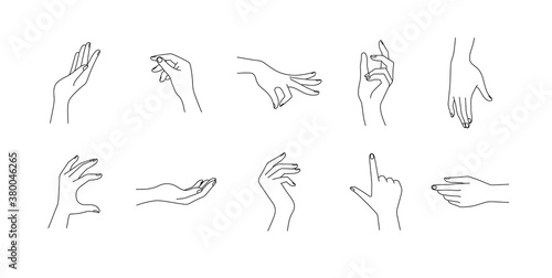Hand gestures in different positions. hands showing and pointing, holding and representing. hands vector set. linear style. minimal design illustration