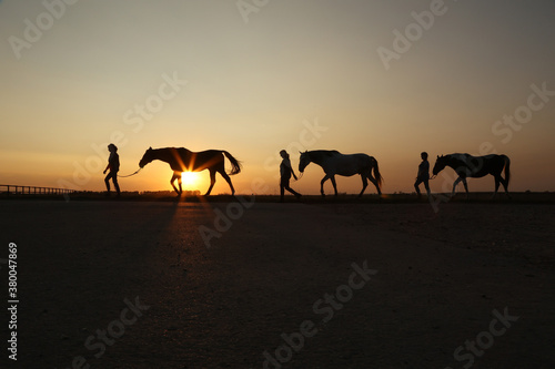 Pferdesilhouette im Sonnenuntergang