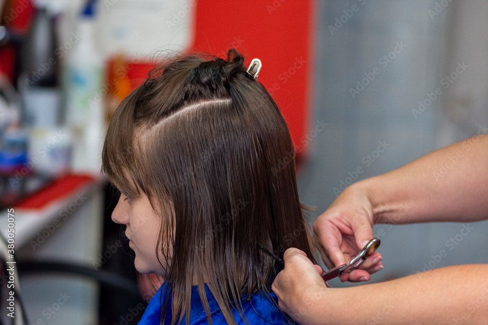 Fototapeta premium Professional female hairdresser cutting girl's hair in salon