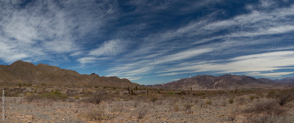 Desolated landscape. Panorama view of the arid desert, sand, vegetation and mountains under a beautiful blue sky with clouds. 