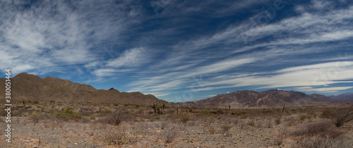 Desolated landscape. Panorama view of the arid desert, sand, vegetation and mountains under a beautiful blue sky with clouds. 