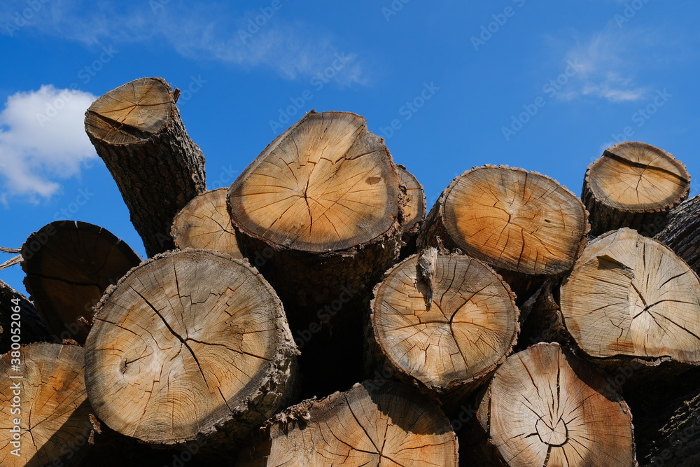 Naklejka premium Pile of wooden logs stacked together on top of each other.