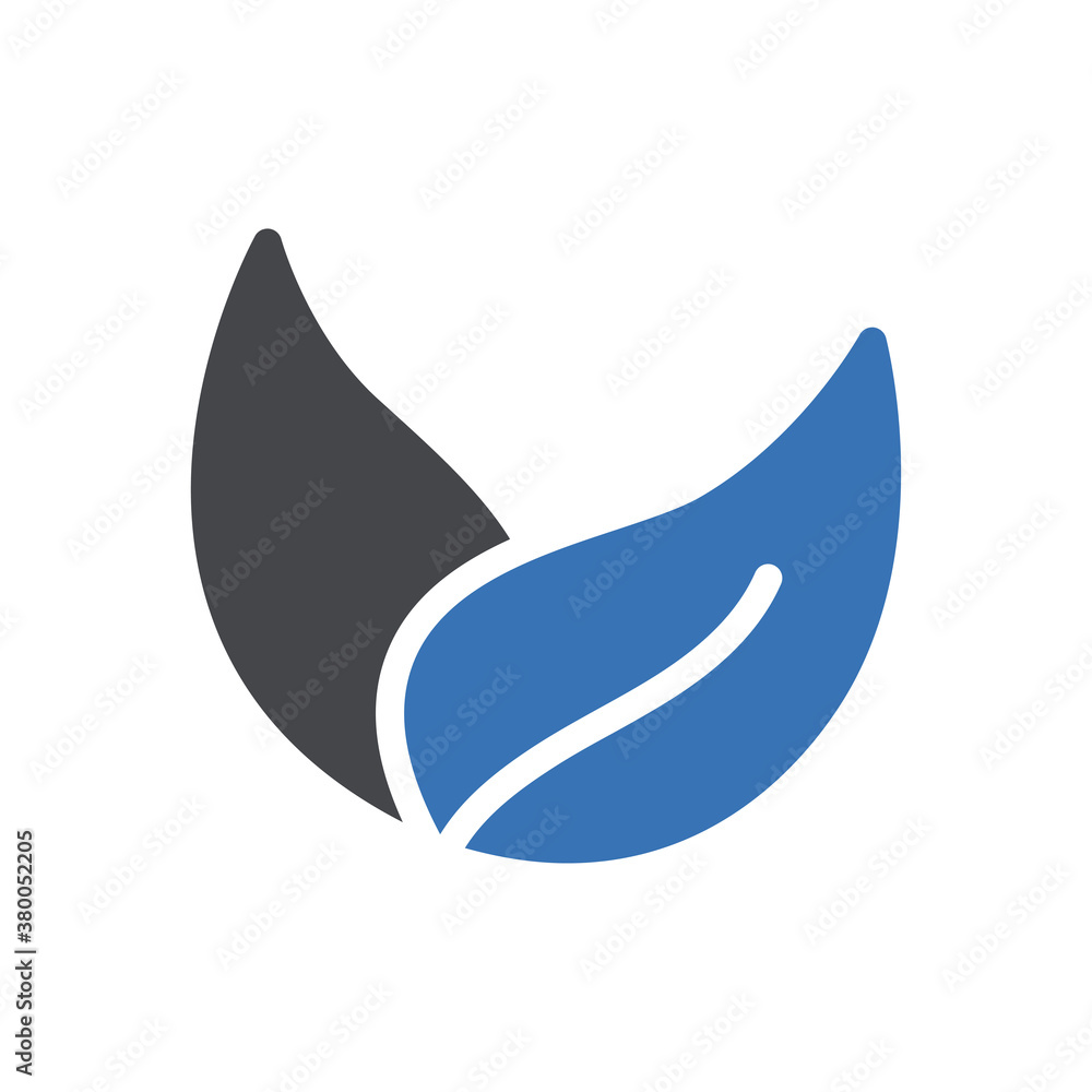 Fototapeta premium leaf