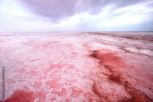 Fototapeta Naklejka Na Ścianę i Meble -  Fantastic pink lake Sasyk Siwash, Retba, Hutt Lagoon. Lake Hillier. Salt from a pink lake, macro photo. An unearthly landscape.