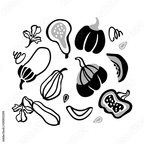 Hand drawn vector set of decorative pumpkins and squash. Cartoon style vegetables illustration. Autumn harvesting.