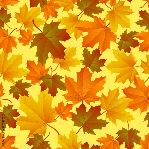 Autumn leaf pattern. Fall leaf decoration. Autumn background with maple leaf. Vector