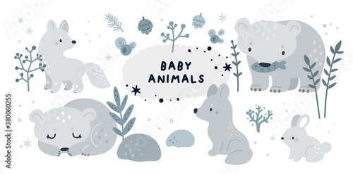 Baby animals and forest plants collection. Set with cute forest animals: bear, rabbit, wolf, arctic fox. Childish vector illustration isolated on white background © happydesign