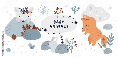 Forest animals and plants collection. Set with cute baby animals: hare, rabbit, bunny, wolf, arctic fox, fox. Childish vector illustration in scandinavian style isolated on white background