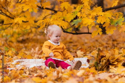 Adorable happy little girl in burgundy pants and a yellow jacket sits on a blanket near yellow maple leaves outdoors in a beautiful autumn park. Walking outdoors