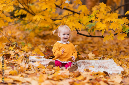 Adorable happy little girl in burgundy pants and a yellow jacket sits on a blanket near yellow maple leaves outdoors in a beautiful autumn park. Walking outdoors