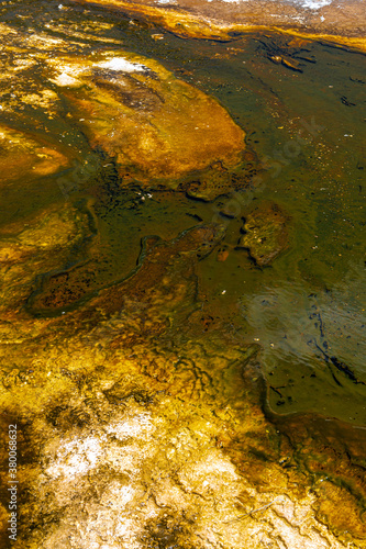 In the Surrounding of the Pump Geyser, Upper Geyser Basin Area, Yellowstone National Park