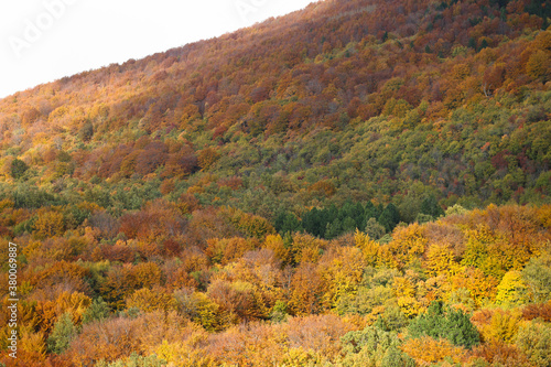 autumn landscape in the mountains