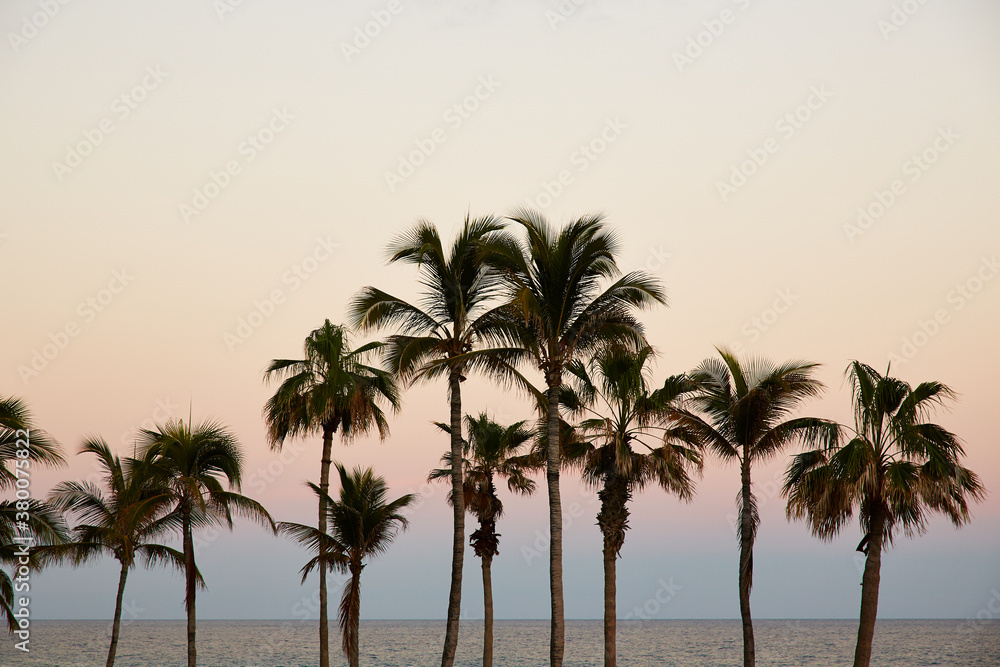 Sunset over the ocean with palm trees in foreground Sunset over the ocean with palm trees in foreground