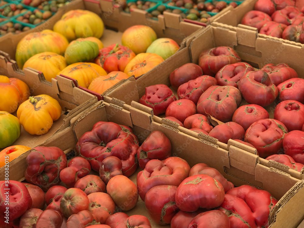 Ripe, fresh heirloom tomatoes are shown on display in a market produce bin at a farm in a horizontal view. Ripe, fresh heirloom tomatoes are shown on display in a market produce bin at a farm in a horizontal view.