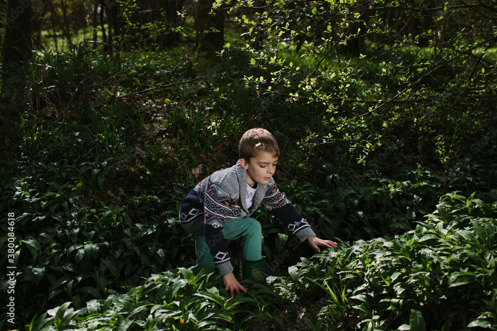 Boy climbs on hill covered in wild garlic. Boy climbs on hill covered in wild garlic.
