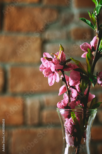 Peach flowers photo