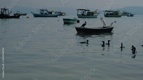 fishing boats on the beach with birds 