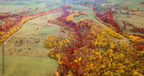 Yellow and red trees near Carpathian village. Aerial view. Flying over beautiful autumn forest. Tilt and down.