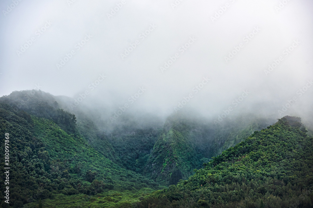 Misty Fog covering the mountain slope, Fall/Winter Image