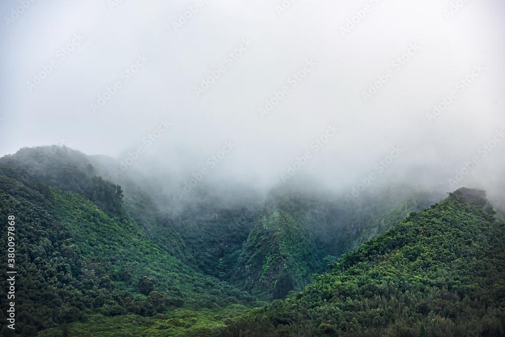 Misty Fog covering the mountain slope, Fall/Winter Image Misty Fog covering the mountain slope, Fall/Winter Image