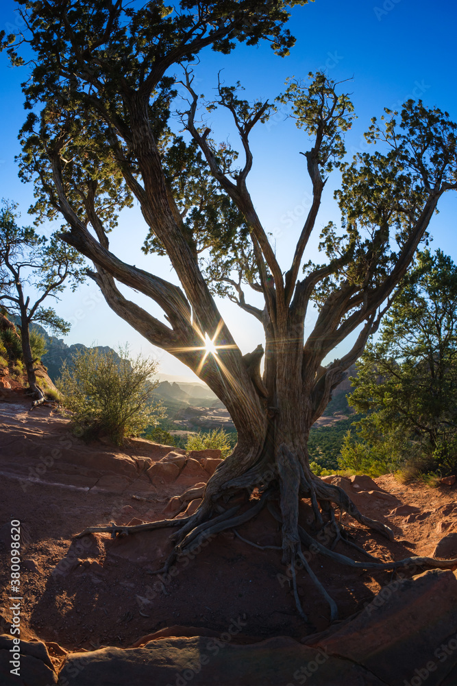 Beautiful sunset from Merry Go Round Rock in Sedona, Arizona